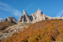 DJI_0238