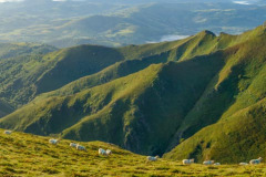 DSC_9406-Panorama-2