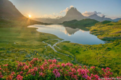 30_Pic-d-Ossau-lever-de-soleil-rhododendrons