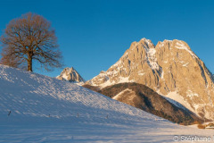 DSC_0910-Panorama