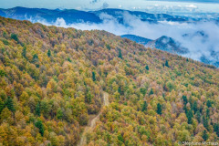 Pays Basque, forêt d'Iraty en automne//Basque country, Iraty forest in autumn