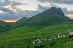 DSC_3354-Panorama