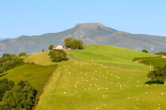 DSC_5409-Panorama