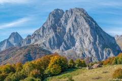 DSC_0236-Panorama