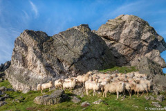 DSC_4555-Panorama