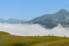 DSC_1815-Panorama