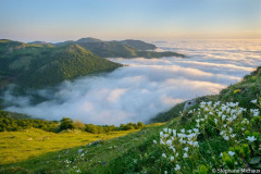 DSC_0132