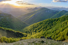 DSC_7605-Panorama